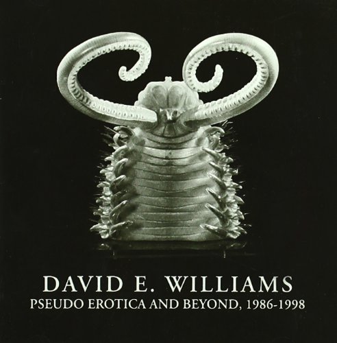 Pseudo Erotica and Beyond, 1986-199 Pseudo Erotica and Beyond, 1986-199 von OLD EUROPA CAFE'