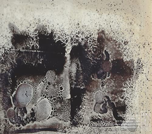 The Stains of the Embodied Sacrifice The Stains of the Embodied Sacrifice von OLD EUROPA CAFE'