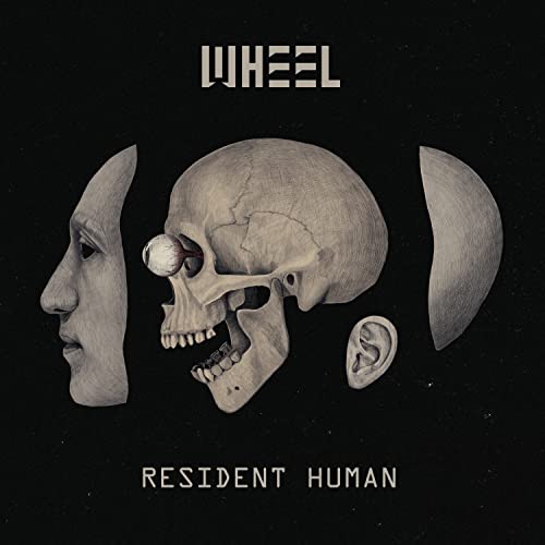 Resident Human (2lp/Gatefold/180g/Etched d-Side) [Vinyl LP] von Rough Trade