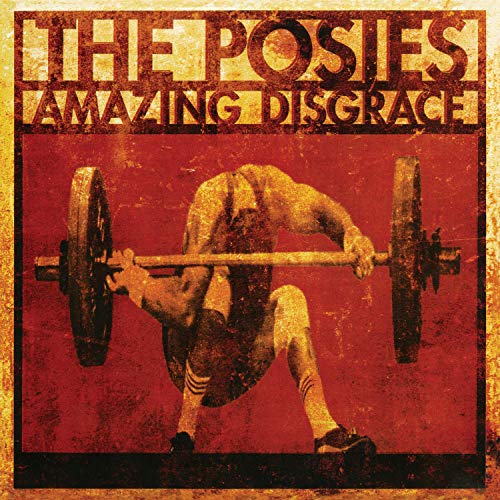 Amazing Disgrace [Vinyl LP] von OMNIVORE RECORDINGS