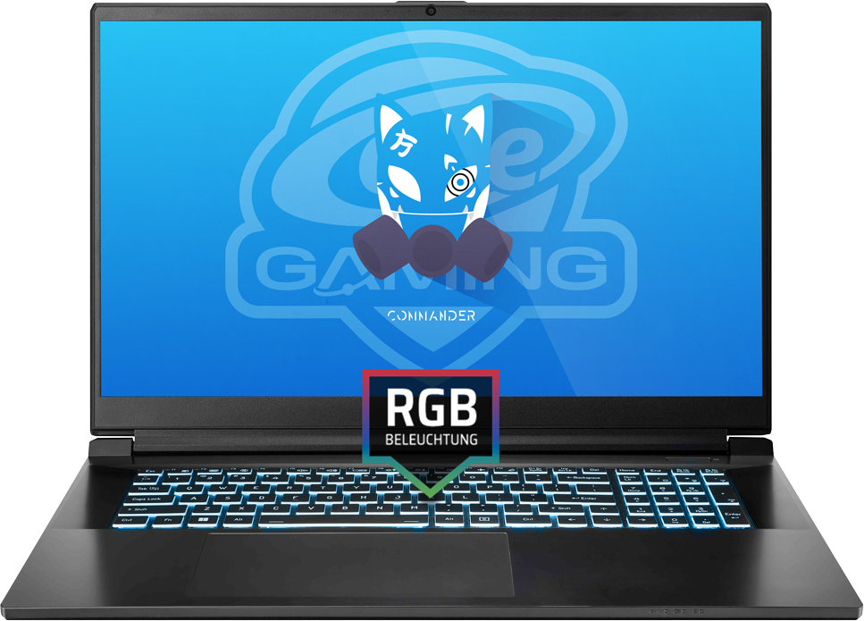 Gaming Laptop - Intel Core i9-13900H, NVIDIA GeForce RTX 4070 - ONE GAMING von ONE GAMING