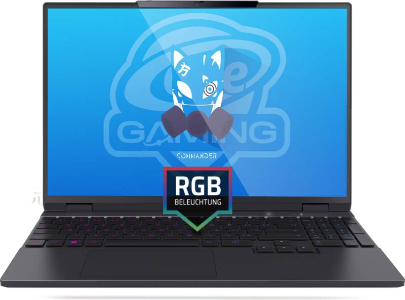 ONE GAMING ONE GAMING Commander V53-08NB-GA1 von ONE GAMING