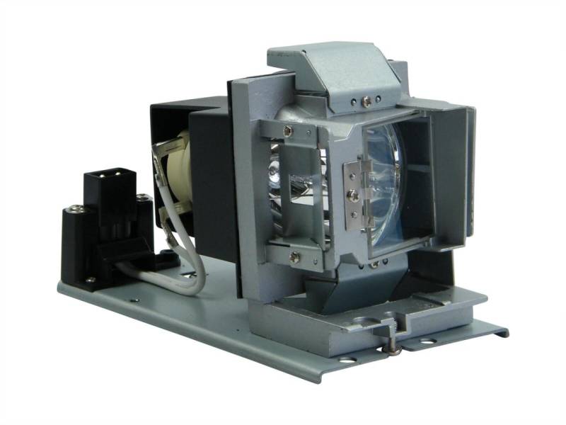 OPTOMA 5811118543-SOT BL-FP240D Beamerlampe Originalmodul von OPTOMA