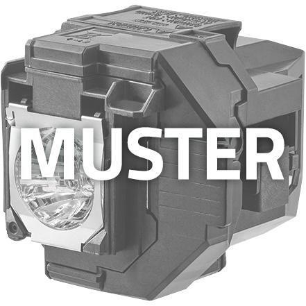 Optoma Projektorlampe SP.8UP01GC02 für X307UST von OPTOMA