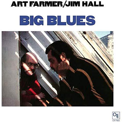 Big Blues [Vinyl LP] von ORG MUSIC