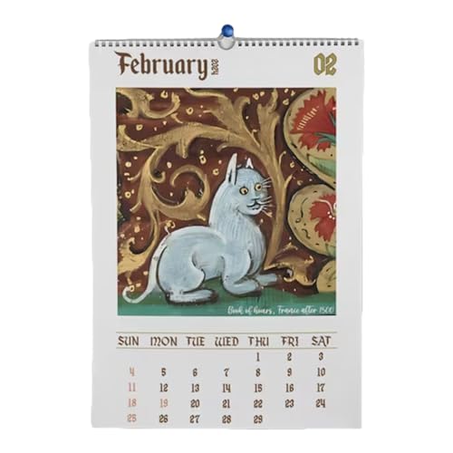 2024 seltsamer mittelalterlicher Katzenkalender, niedlicher lustiger Katzen-Wandkalender, Seltsamer Katzenkalender 2024 Kalender, für Büros, Heimdekoration, Katzenliebhaber von ORTUH