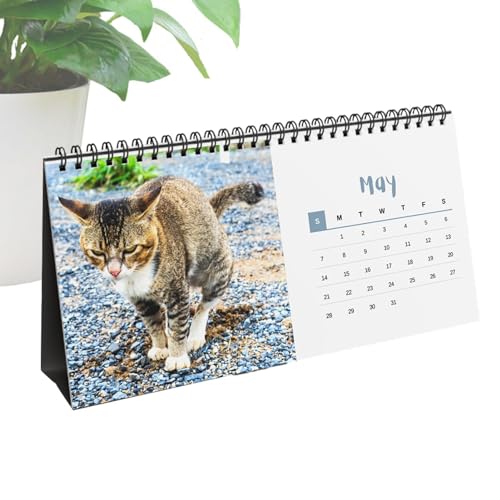 Kackende Katzen Kalender 2024, lustiger kackender Katzen-Monats-Wandkalender, 2024 lustiger kackender Katzen-Kalender Wand-Monatsplaner, Das lustige Geschenk für Geburtstage, Weihnachten von ORTUH