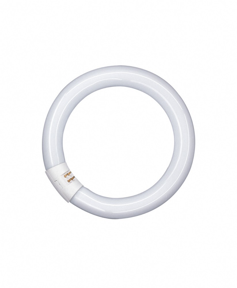 OSRAM LAMPE Leuchtstofflampe L 32W/840 C OSRAM LAMPE Leuchtstofflampe L 32W/840 C von OSRAM LAMPE