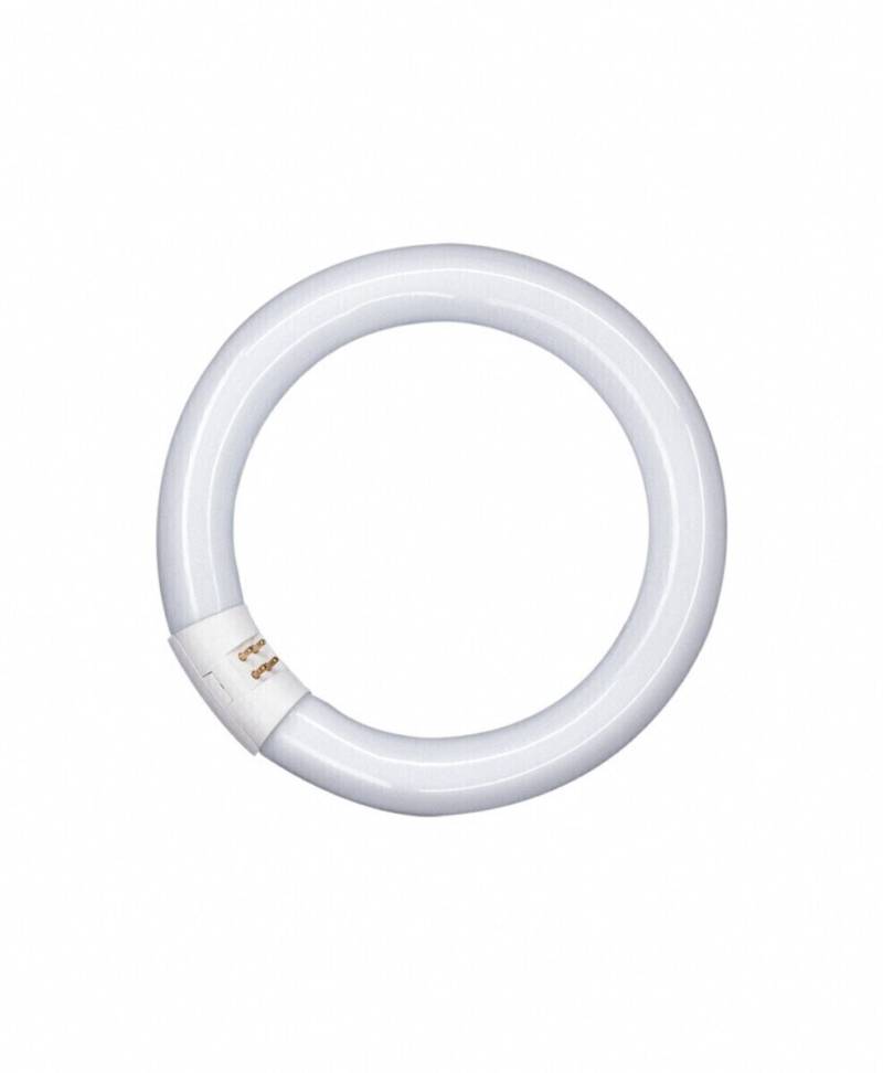 OSRAM LAMPE Lumilux-Lampe L 40/840 C von OSRAM LAMPE