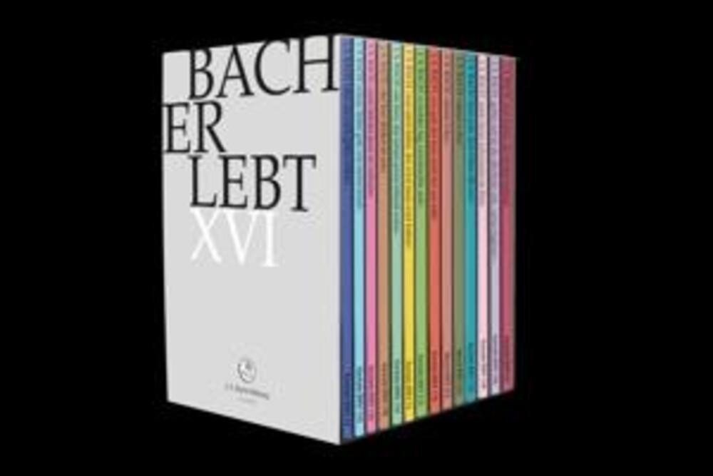 DVD Bach Erlebt XVI DVD Bach Erlebt XVI von OTTO
