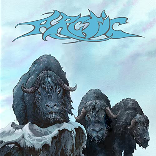 Arctic [Vinyl LP] von OUTER BATTERY