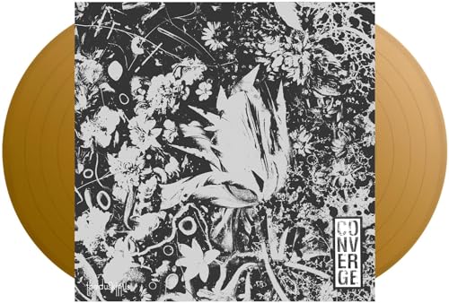 The Dusk In Us Deluxe [Vinyl LP] von OYERKEF