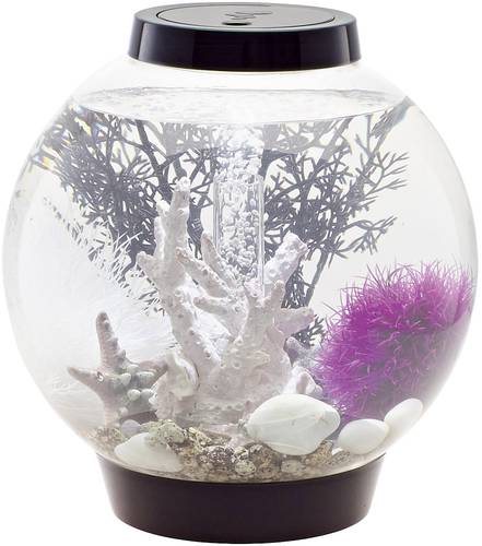 Oase 71999 Aquarium biOrb CLASSIC 15 LED schwarz 15l mit LED-Beleuchtung Oase 71999 Aquarium biOrb CLASSIC 15 LED schwarz 15l mit LED-Beleuchtung von Oase