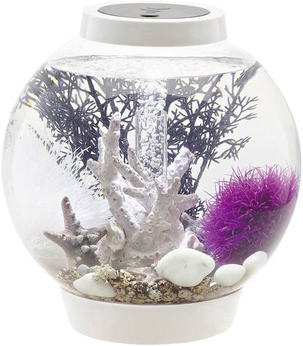 Oase 72001 Aquarium biOrb CLASSIC 15 LED weiß 15l mit LED-Beleuchtung Oase 72001 Aquarium biOrb CLASSIC 15 LED weiß 15l mit LED-Beleuchtung von Oase