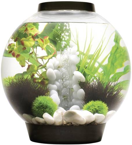 Oase 72005 Aquarium biOrb CLASSIC 30 LED schwarz 30l mit LED-Beleuchtung Oase 72005 Aquarium biOrb CLASSIC 30 LED schwarz 30l mit LED-Beleuchtung von Oase
