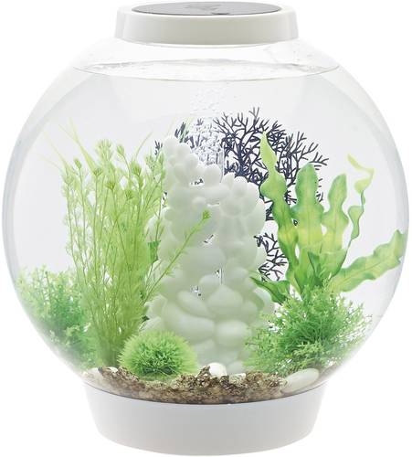 Oase 72007 Aquarium biOrb CLASSIC 30 LED weiß 30l mit LED-Beleuchtung Oase 72007 Aquarium biOrb CLASSIC 30 LED weiß 30l mit LED-Beleuchtung von Oase