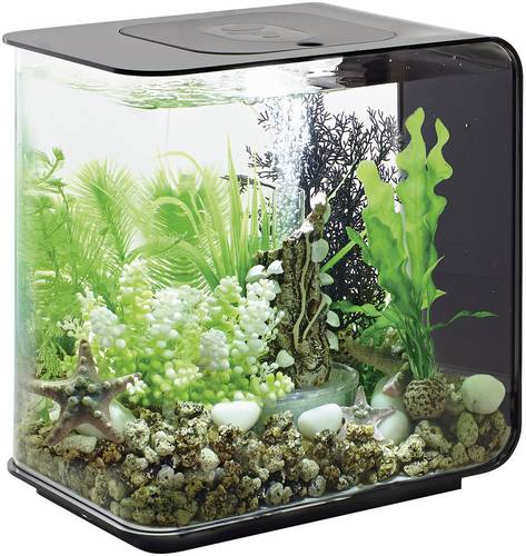 Oase 72029 Aquarium biOrb FLOW 15 LED schwarz 15l mit LED-Beleuchtung von Oase