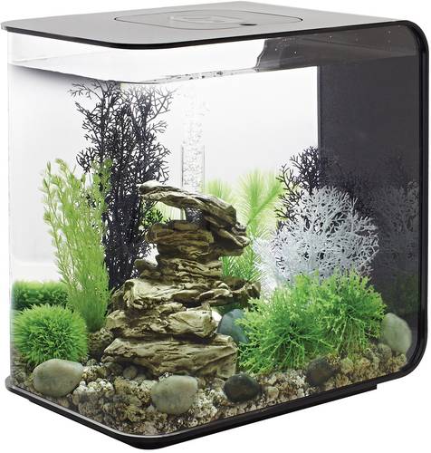 Oase 72033 Aquarium biOrb FLOW 30 LED schwarz 30l mit LED-Beleuchtung von Oase