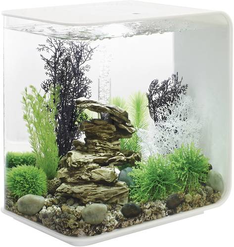 Oase 72034 Aquarium biOrb FLOW 30 LED weiß 30l mit LED-Beleuchtung von Oase