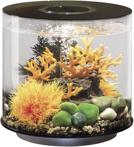 Oase 72062 Aquarium biOrb TUBE 15 LED schwarz 15l mit LED-Beleuchtung Oase 72062 Aquarium biOrb TUBE 15 LED schwarz 15l mit LED-Beleuchtung von Oase