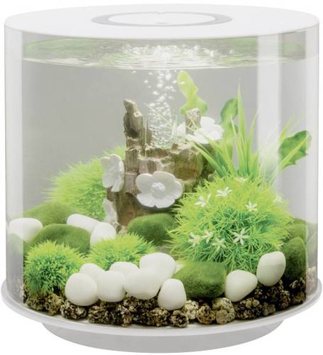 Oase 72063 Aquarium biOrb TUBE 15 LED weiß 15l mit LED-Beleuchtung von Oase