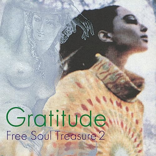 Gratitude: Suburbia Meets Ultra-Vybe ''Free Soul Treasure 2'' [Vinyl LP] von Octave