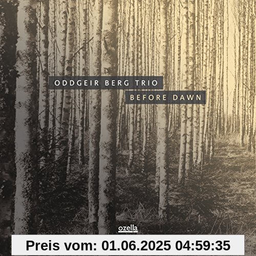 Before Dawn Before Dawn von Oddgeier Trio Berg