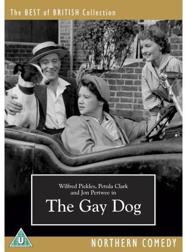 The Gay Dog [DVD] (1954) von Odeon Entertainment