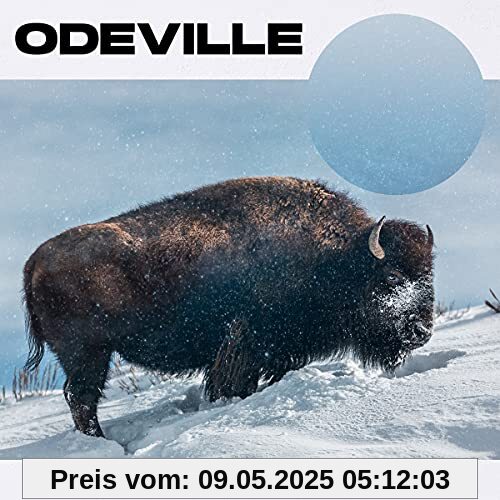Jenseits der Stille von Odeville