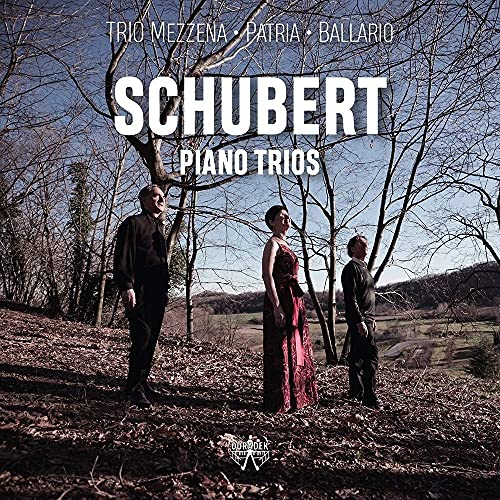 Schubert Piano Trios von Odradek (H'Art)