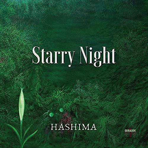 Starry Night von Odradek (H'Art)