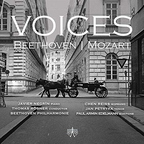 Voices: Beethoven/Mozart von Odradek (H'Art)