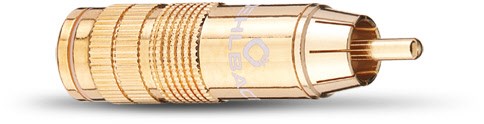 CJG 66 Cinch-Stecker (4 Stk.) gold von Oehlbach