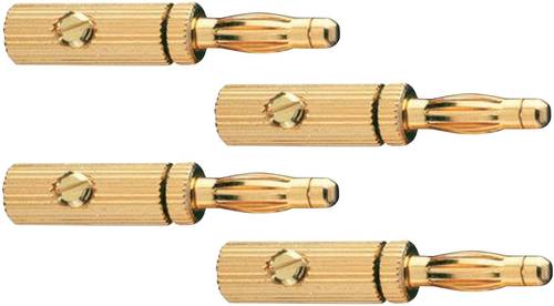 Oehlbach 3009 Lautsprecher-Steckverbinder Stecker, gerade Polzahl (num): 3 Gold 4St. von Oehlbach