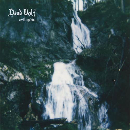 Evil Spirit [Vinyl LP] von Off Label Records (Broken Silence)