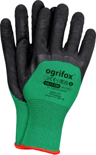 Ogrifox Latexhandschuhe, Schutzhandschuhe, Arbeitshandschuhe Ox.11.739 Halfom, Grün-Schwarz, 10 Größe, 240 Paar von Ogrifox