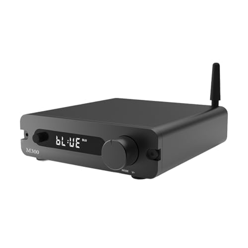 Ohewiiuk Decoder-Verstärker Integrierte Maschine M300 Fever USB D- Digitalverstärker Home Bluetooth Hochleistungsverstärker von Ohewiiuk