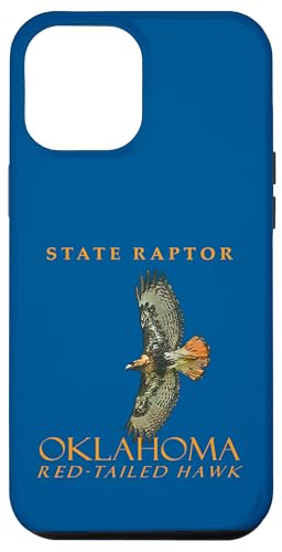 Oklahoma Territory Raptor Der Rotschwanzbussard Hülle für iPhone 12 Pro Max Oklahoma Territory Raptor Der Rotschwanzbussard Hülle für iPhone 12 Pro Max von Oklahoma Territory Symbols Gifts & Tees taiche