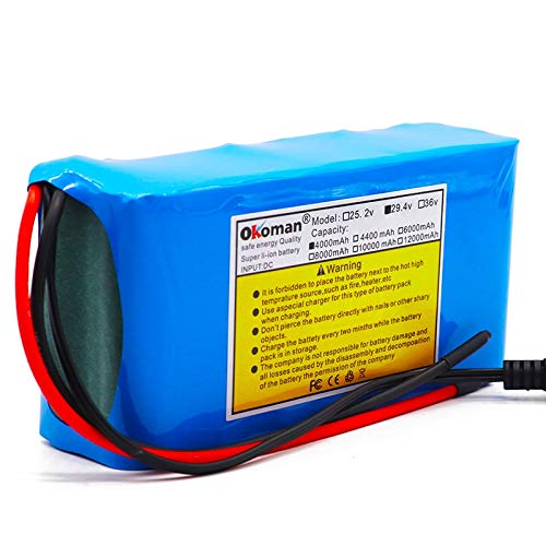 24V 4Ah 7S2P Batterie Li-Ionen-Batterie 29,4V 4000mAh Elektrofahrrad Moped/Elektro/Lithium-Ionen-Batteriepack + Ladegerät von Okoman