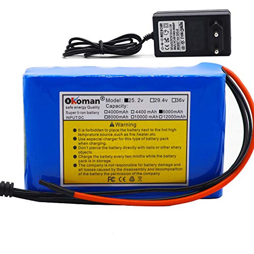 Original 24V 6Ah 6S2P Batterie Lithium Batterie 25.2V 6000mAh Elektrofahrrad Moped/Elektro/Li Ionen Batteriepack Mit Ladegerät von Okoman