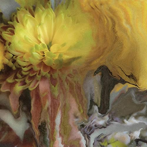 Wilderness Within You [Vinyl LP] von Thirty Tigers