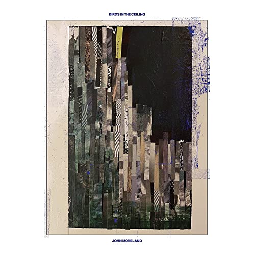 Birds In The Ceiling [Vinyl LP] von Thirty Tigers