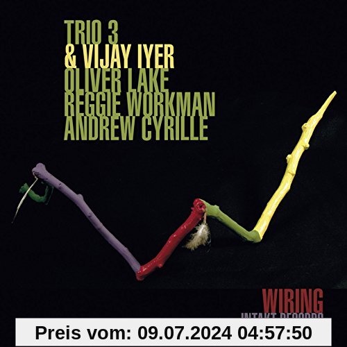 Trio 3 + Vijay Iyer - Wiring von Olive Lake