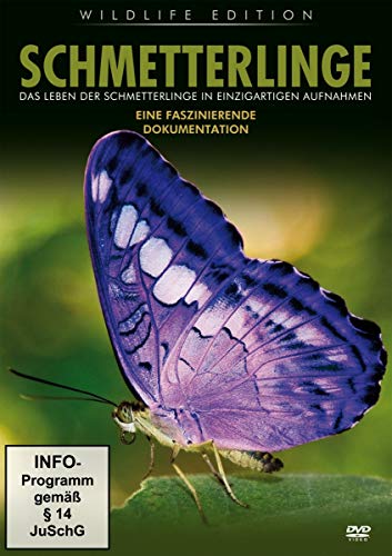 Wildlife Edition - SCHMETTERLINGE von Olymp Media / Great Movies