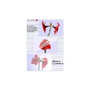 OLYMPIA Folienset 125 Mikron A3 - 50 Stk. (9175) von Olympia