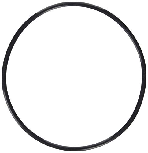 Olympus POL-054 O-ring/Dichtungsring (geeignet für Unterwassergehäuse PT-054) von Olympus