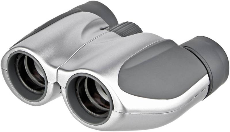 Pocket 8x21 DPCI Fernglas silber von Olympus