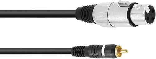 Omnitronic 30224028 XLR Adapterkabel [1x Cinch-Stecker - 1x XLR-Buchse 3 polig] 2.00m Schwarz von Omnitronic