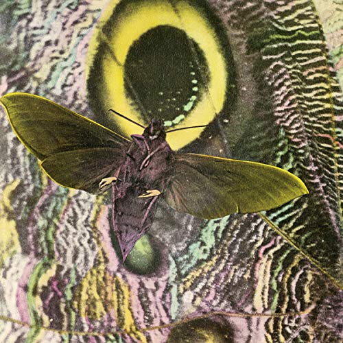 Pay Attention! (Lp+Mp3/Remastered+Expanded) [Vinyl LP] von On U Sound