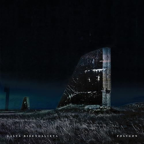 Polygon [Vinyl LP] von ONE LITTLE INDIAN